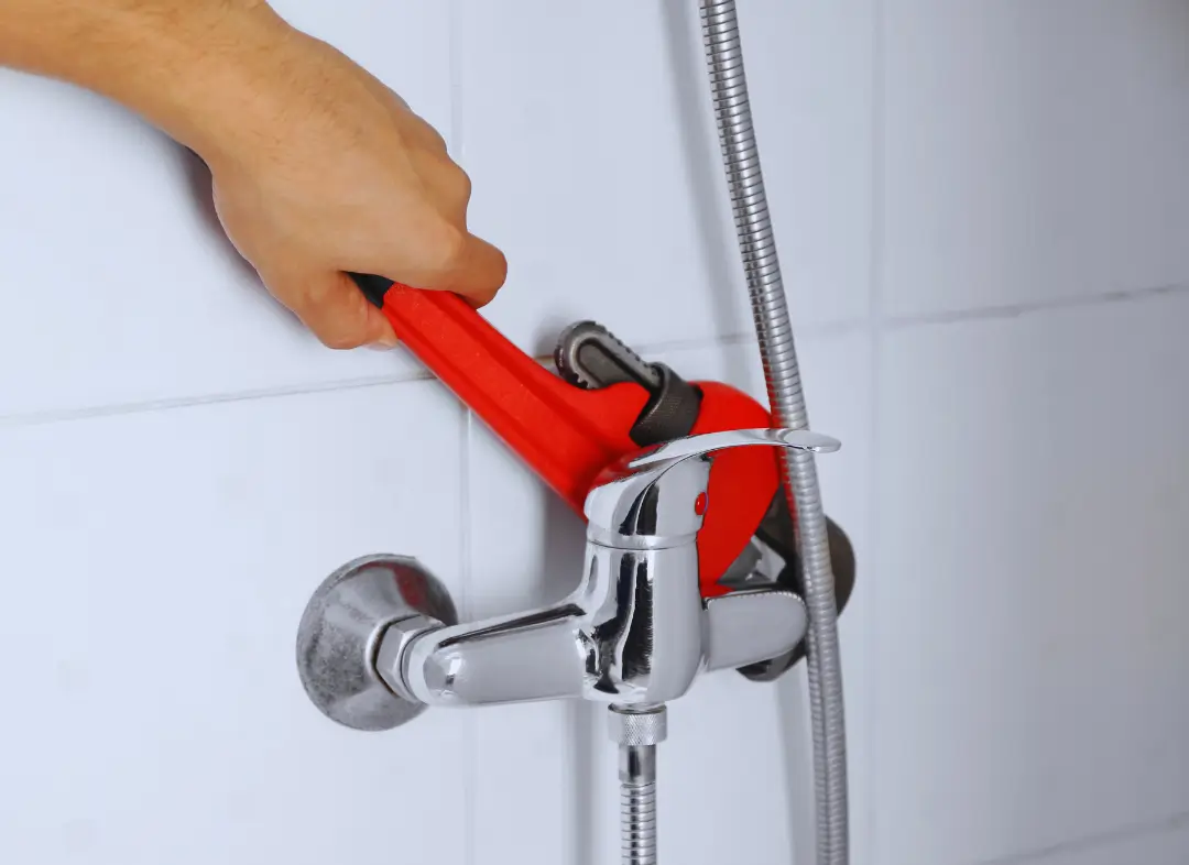 Mitigeur Thermostatique douche Levroux