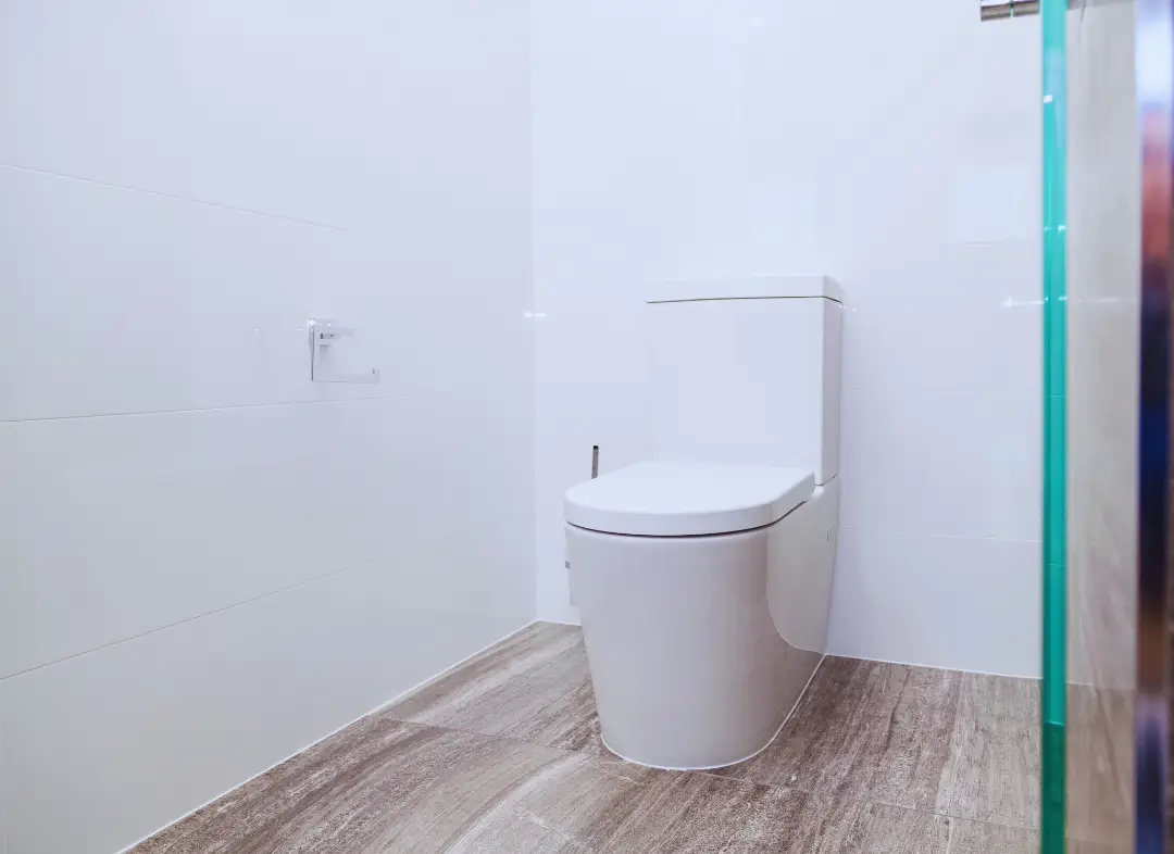 Remplacement de wc Levroux